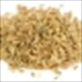 Carrot Seeds